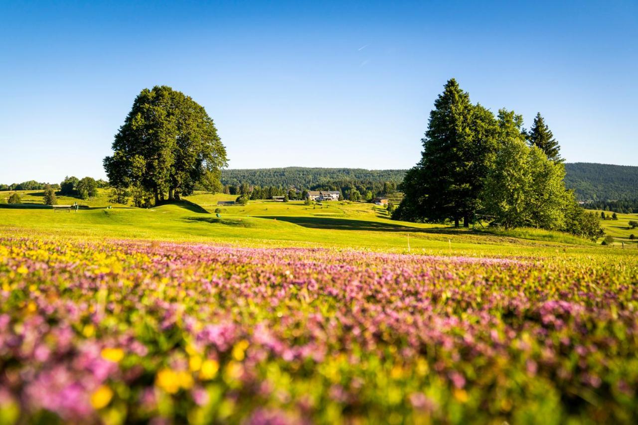 Domaine Du Mont-Saint-Jean Hotel Les Rousses Eksteriør billede